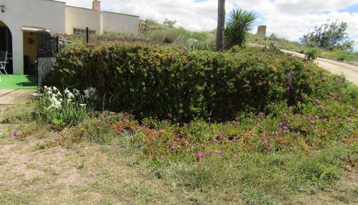 Image No.44-3 Bed House for sale