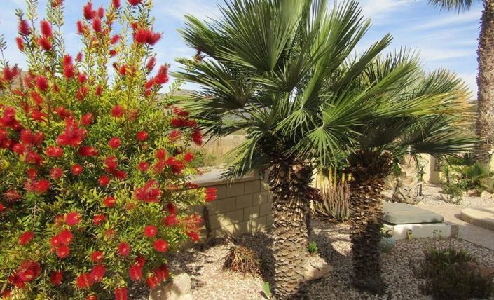 Image No.18-4 Bed Villa for sale