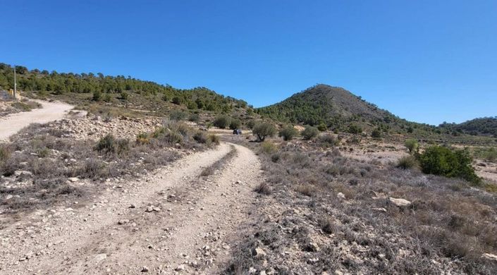 Image No.2-Land for sale