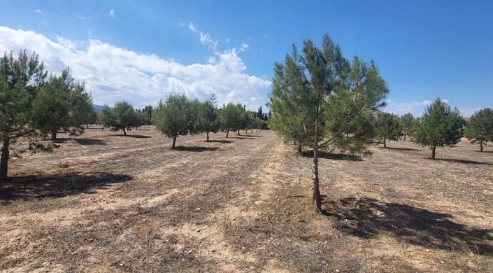 Image No.8-Villa de 3 chambres à vendre à Aspe