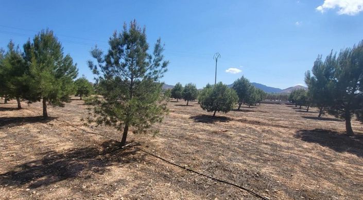 Image No.9-Villa de 3 chambres à vendre à Aspe