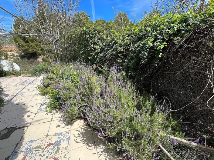 Image No.23-2 Bed Country House for sale