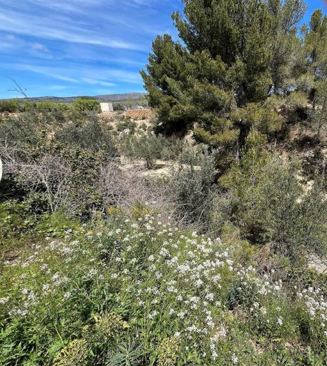 Image No.24-2 Bed Country House for sale