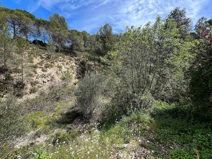 Image No.25-2 Bed Country House for sale