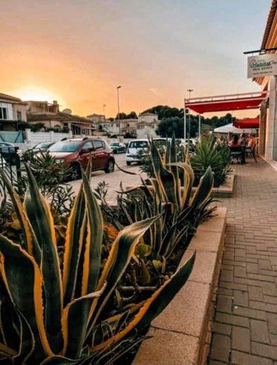 Image No.30-Commercial for sale