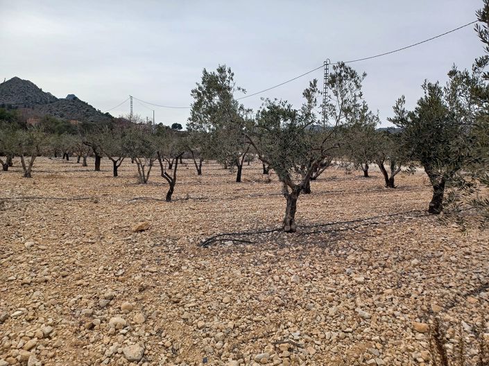 Image No.1-Land for sale