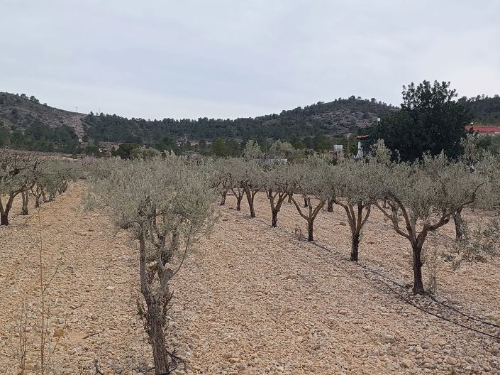 Image No.2-Land for sale