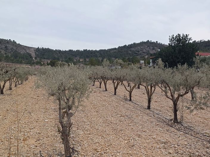 Image No.2-Land for sale