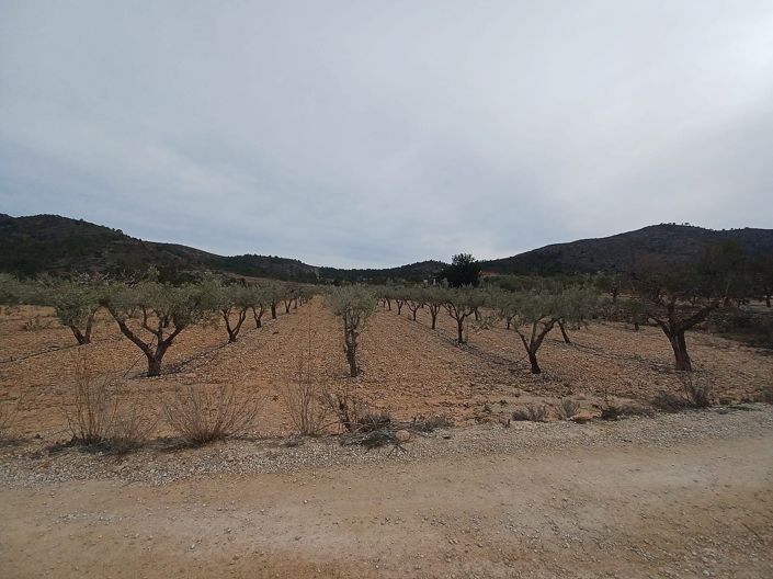 Image No.4-Land for sale