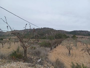 gu7b8yp6kpro0vmcapb00