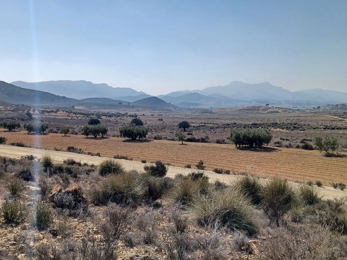 Image No.3-Land for sale