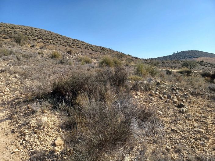 Image No.8-Land for sale