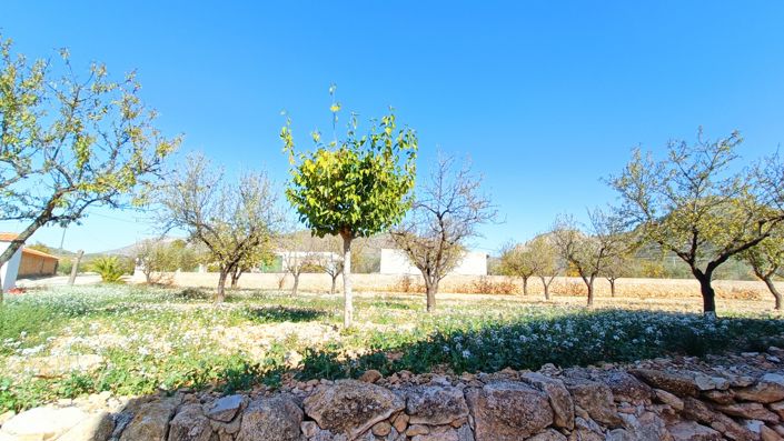 Image No.3-3 Bed Townhouse for sale