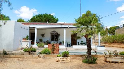 Alicante Dream Homes most sold property