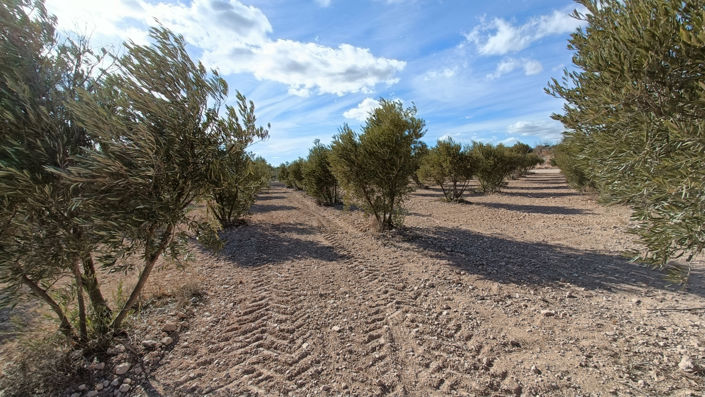 Image No.40-3 Bed Villa for sale