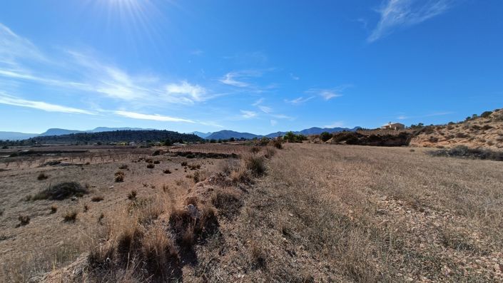 Image No.39-Villa de 3 chambres à vendre à Novelda