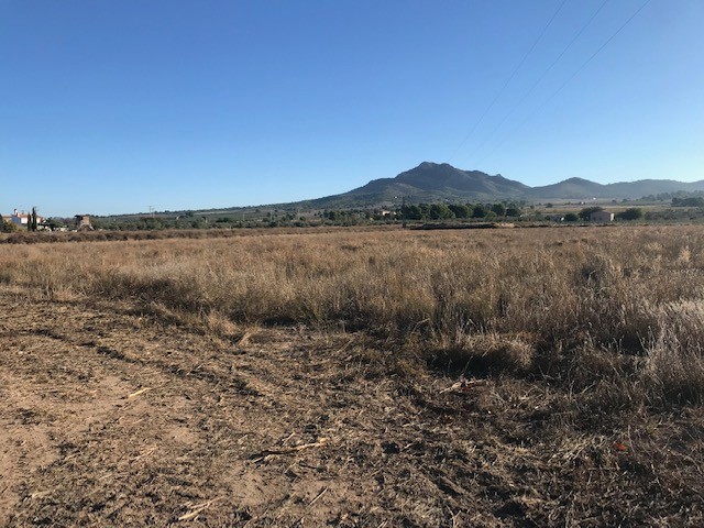 Image No.1-Land for sale