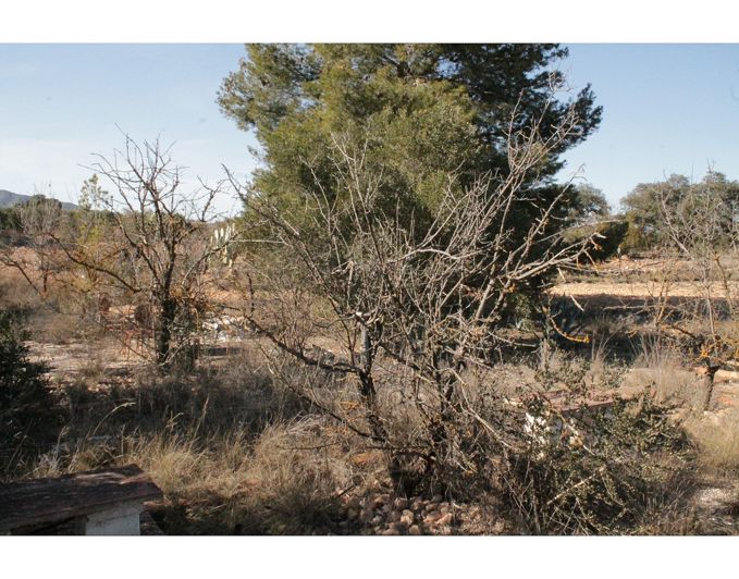 Image No.10-2 Bed Country House for sale