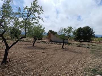 wwhatsapp-image-2025-04-02-at-111704