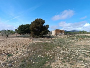 wwhatsapp-image-2025-04-02-at-111709-1-