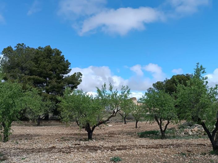 Image No.23-Land for sale