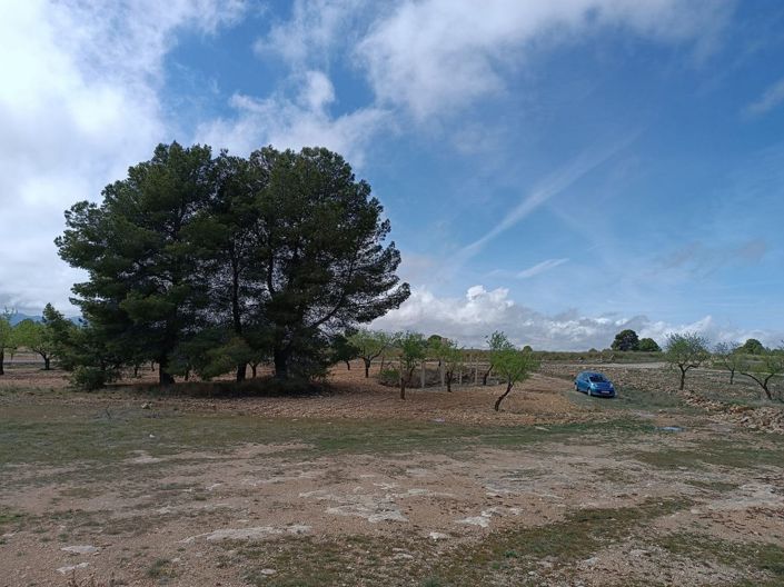 Image No.8-Land for sale