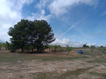 wwhatsapp-image-2025-04-02-at-111705