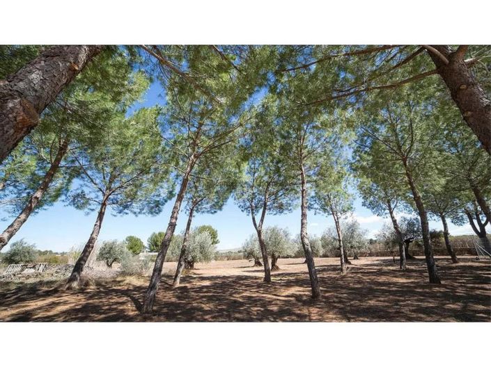 Image No.5-6 Bed Villa for sale