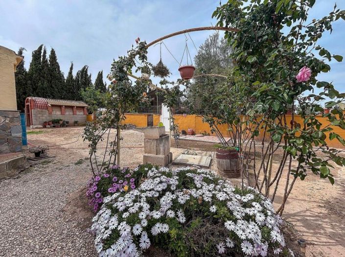 Image No.38-4 Bed Country House for sale