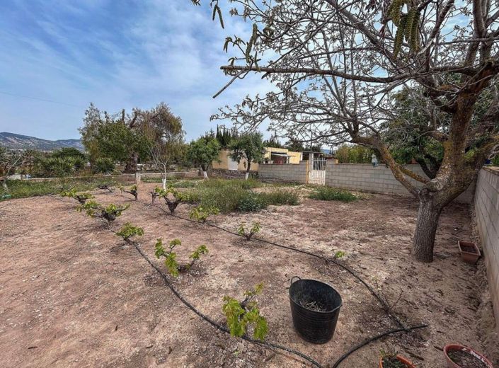 Image No.39-4 Bed Country House for sale