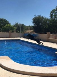 gphfmdbgedqdvarfujpr8