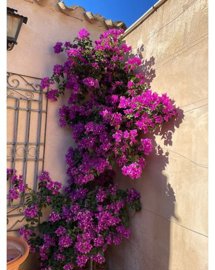 gwzo3g5cnz0c0f4ddcsj2