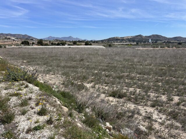 Image No.1-Land for sale