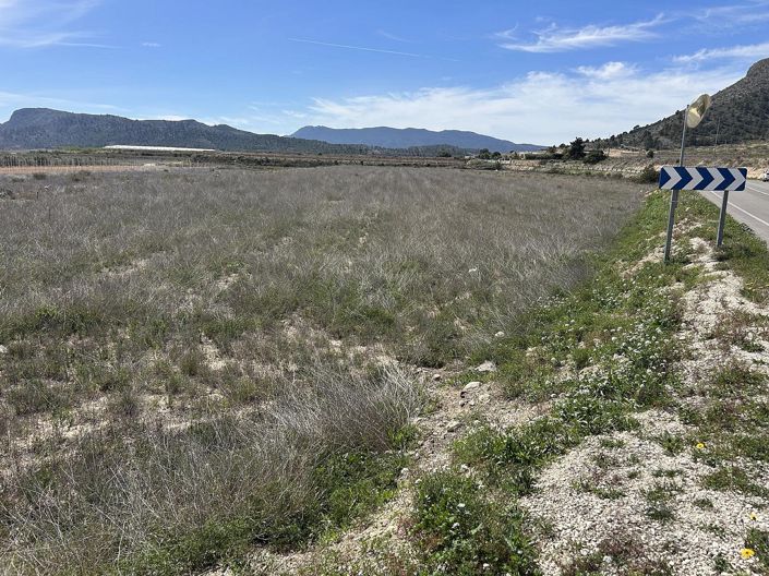 Image No.8-Terre à vendre à Hondón de las Nieves