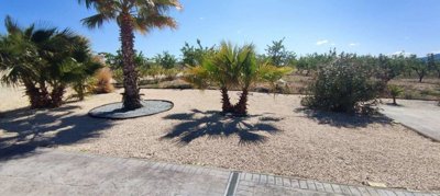 27802-villa-for-sale-in-pinoso-1617622-large