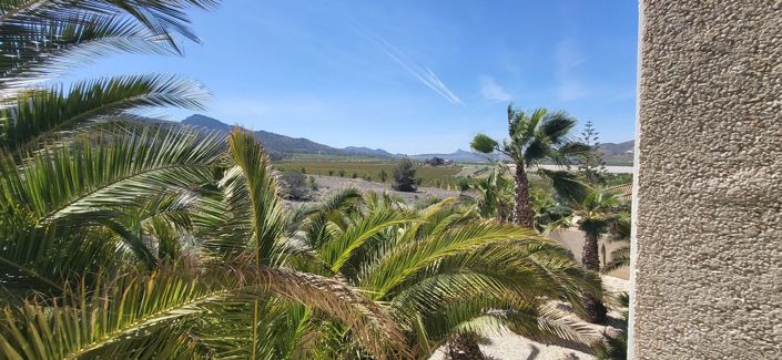 Image No.21-Villa de 3 chambres à vendre à Hondón de las Nieves