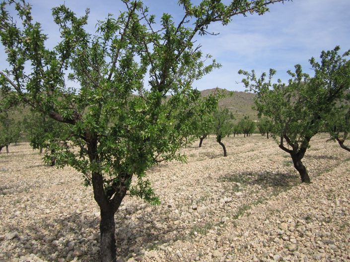 Image No.7-Land for sale