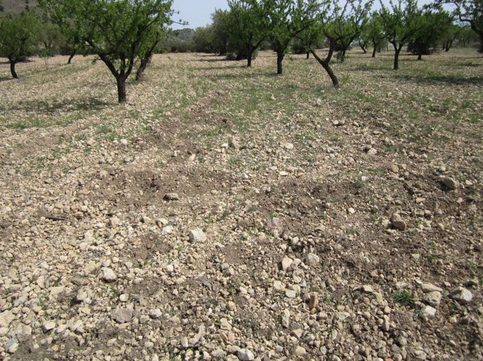 Image No.8-Land for sale