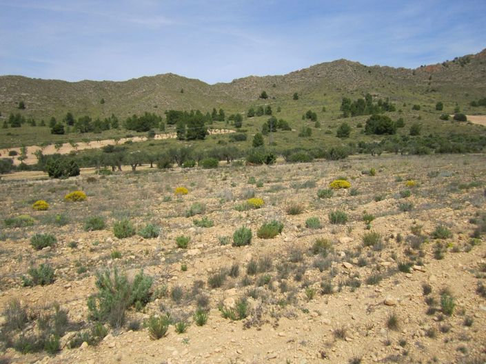 Image No.1-Land for sale