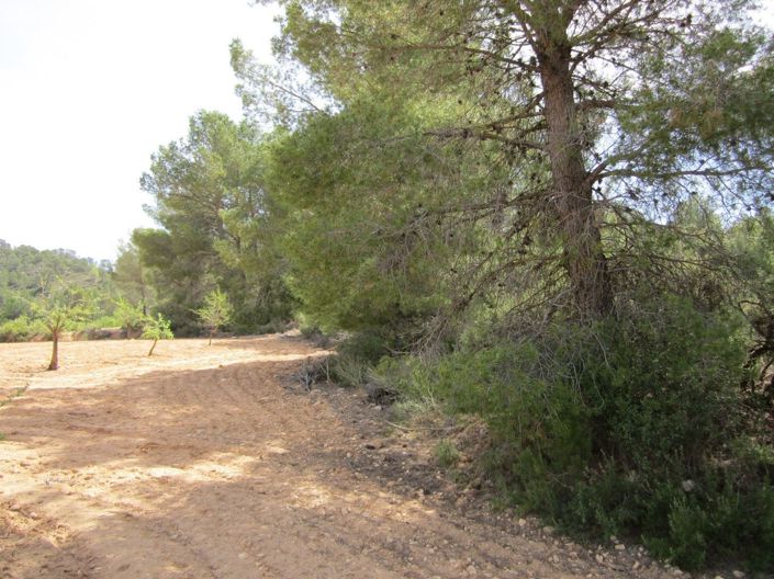 Image No.4-Land for sale