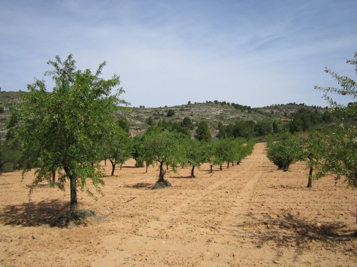 Image No.6-Land for sale