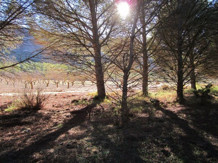 Image No.2-Land for sale