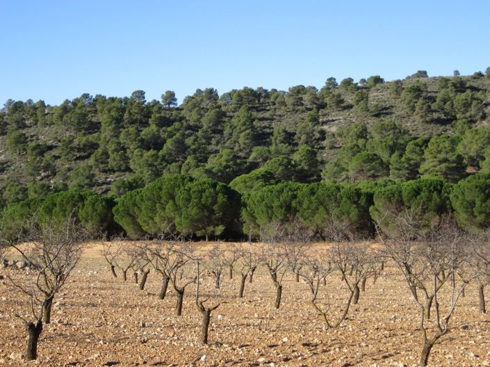 Image No.8-Land for sale