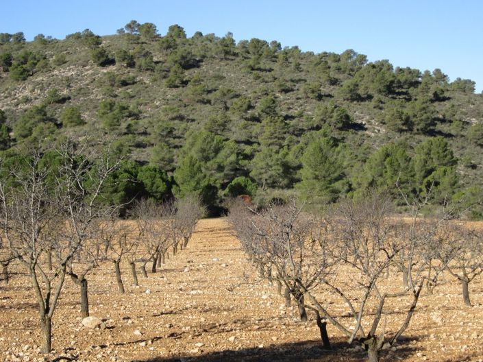 Image No.9-Land for sale