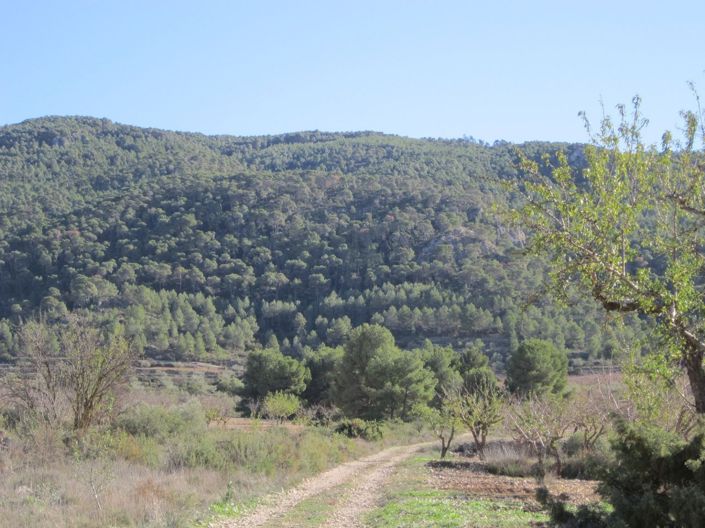 Image No.5-Land for sale