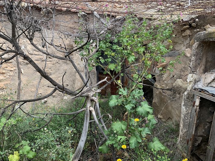 Image No.25-3 Bed Country House for sale