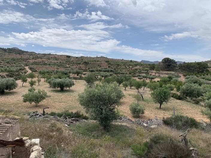 Image No.29-Maison de campagne de 3 chambres à vendre à Macisvenda