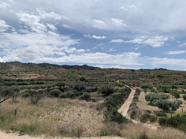 Image No.31-3 Bed Country House for sale