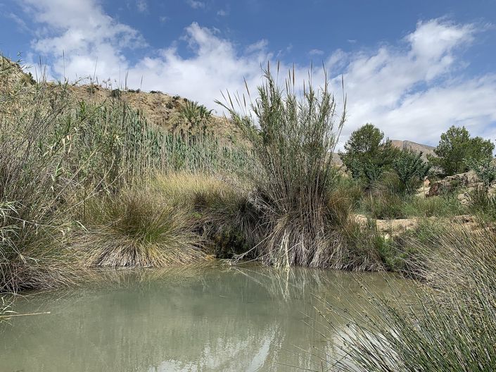 Image No.34-Maison de campagne de 3 chambres à vendre à Macisvenda