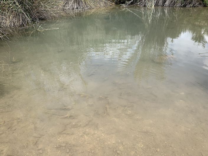 Image No.35-Maison de campagne de 3 chambres à vendre à Macisvenda